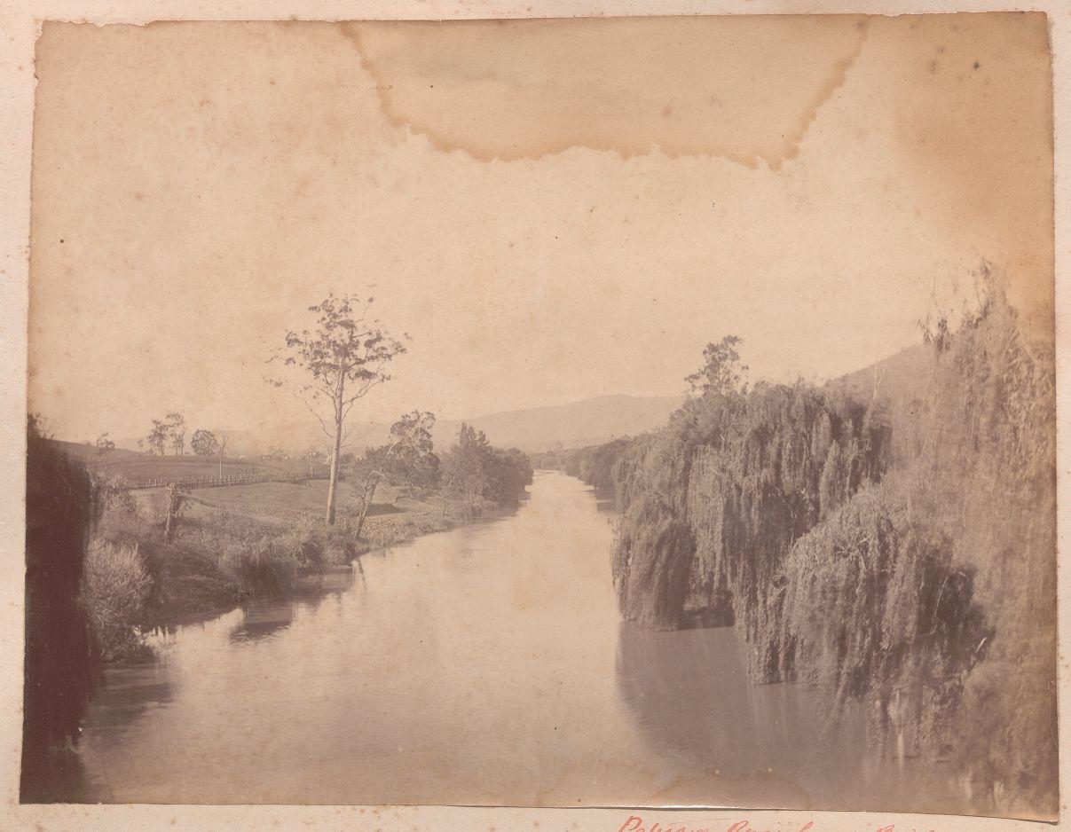 Willows - Photograph of Paterson River George Chambers