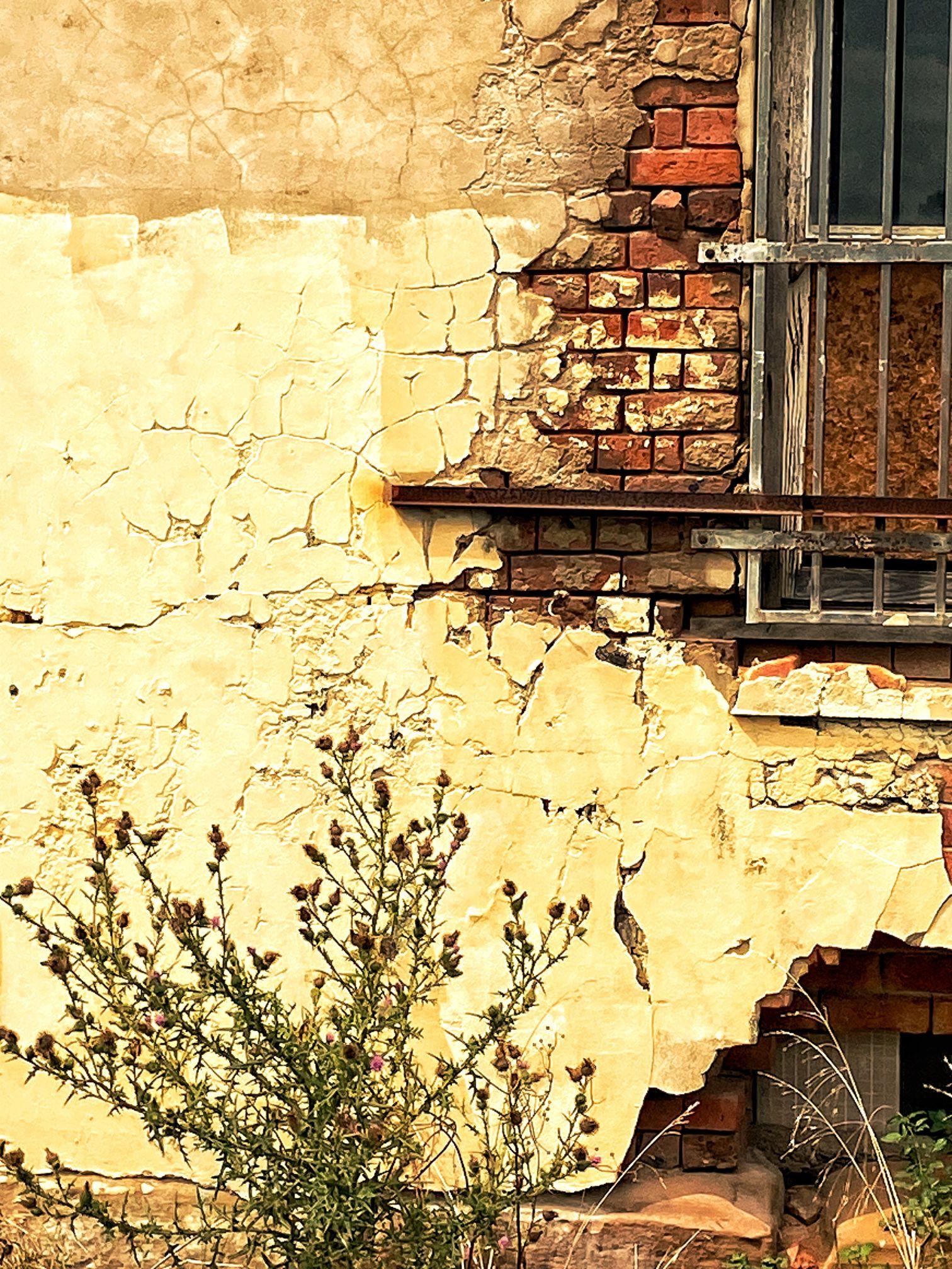Wall - Riverside Walk, High Street, Maitland