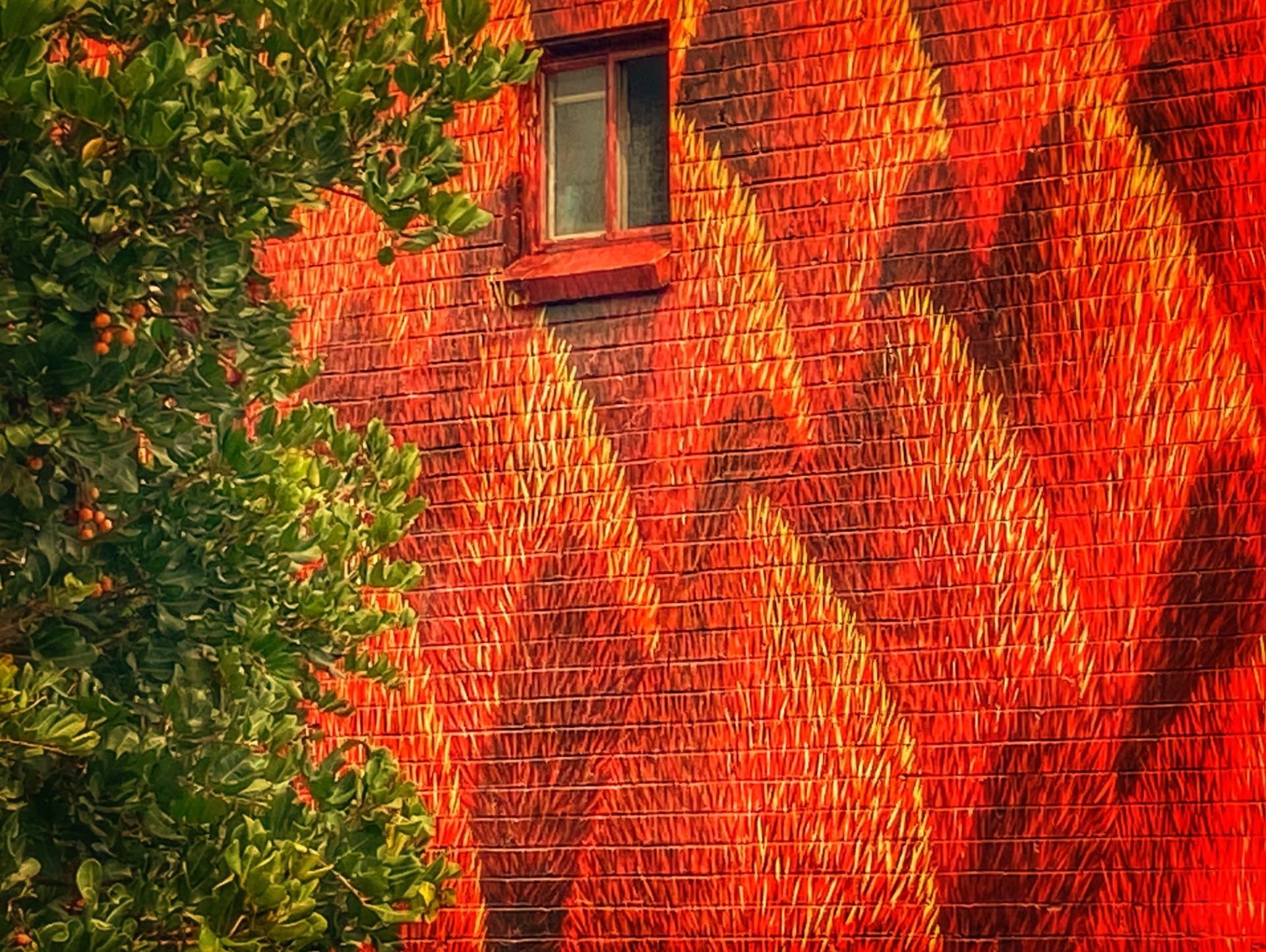 Autumn - The Bourke Street Link, The Levee, Central Maitland 