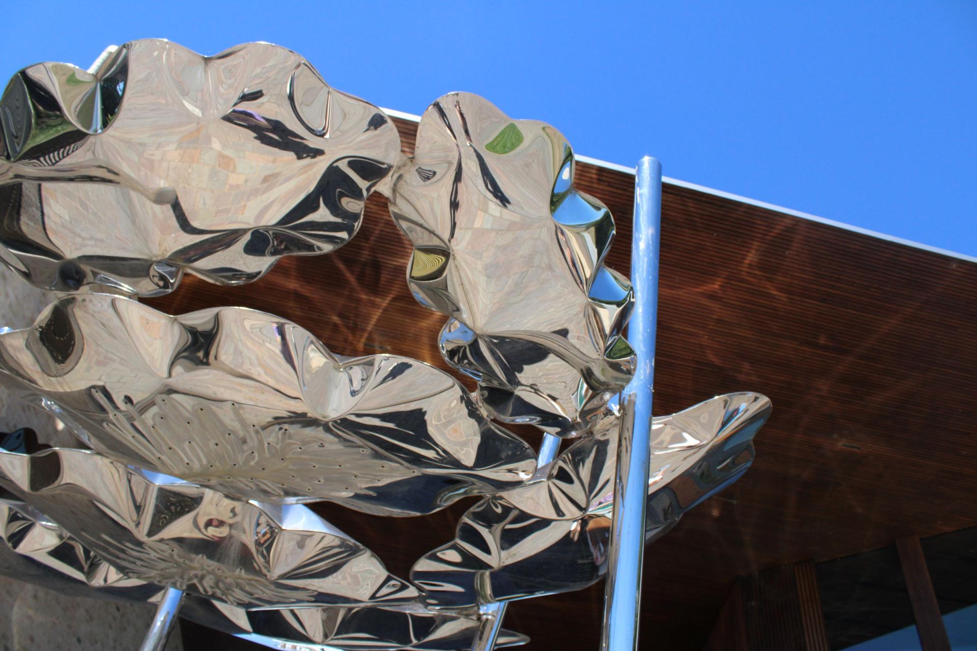 On the Levee - The Levee, Central Maitland