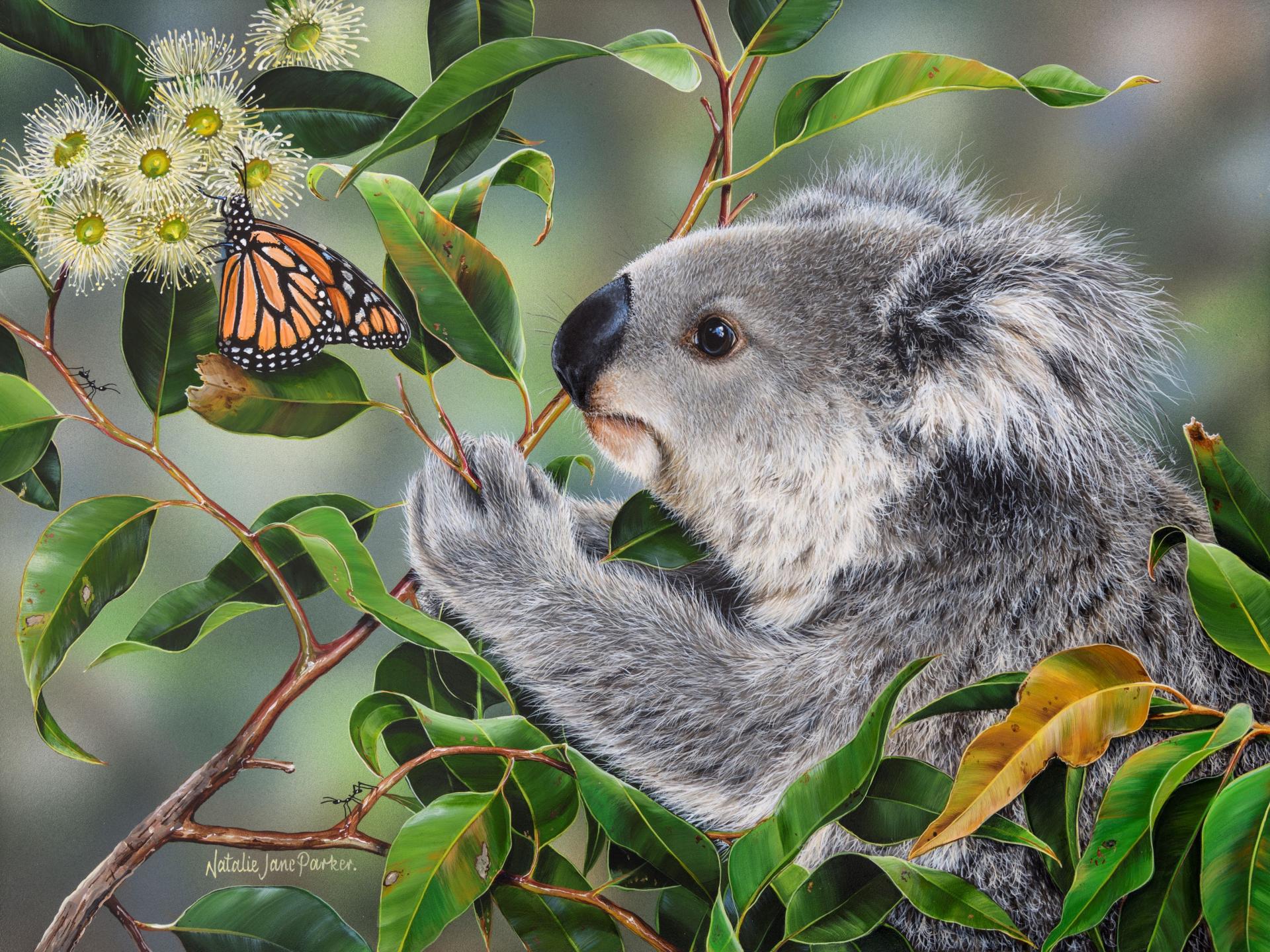 Sweet Things - Koala